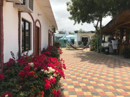 Iekārtas, Casa Blue Tortuga in Ballenita