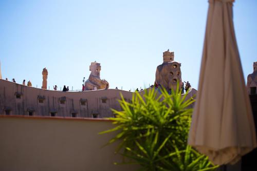 Limonaia - image 11
