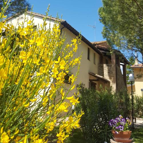 Country houses in Perugia 