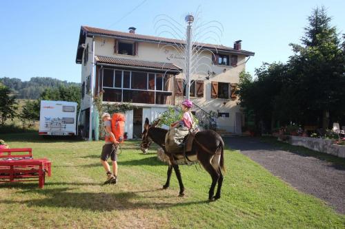 la Chaumine aux étoiles - Accommodation - Camurac