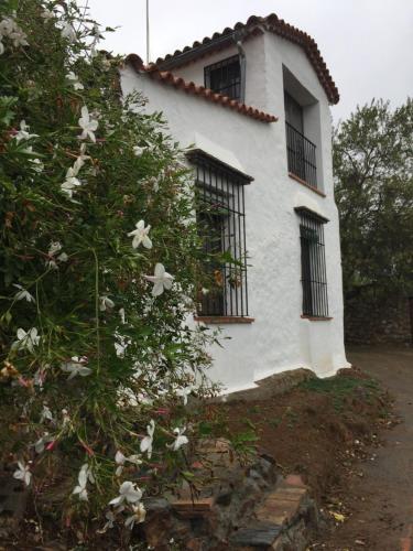 外部景觀, El Lucero in 阿拉哈爾