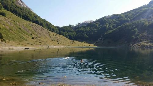 Katun Mokra accommodation & horseback riding in Plav