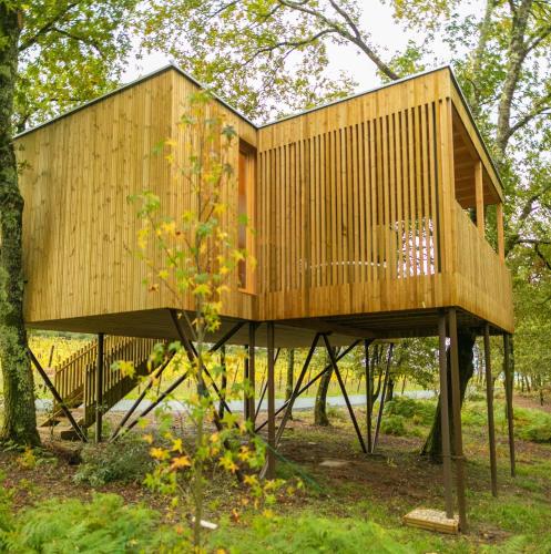 Cabanas Enoturismo Maria Manuela