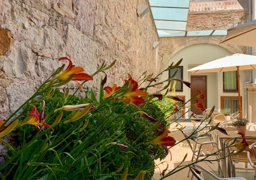 La Terrassa Room Type - Superior Double Room