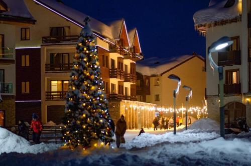 New Gudauri Alpen Apartments - Gudauri