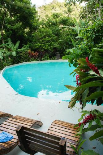 Dominican Tree House Village