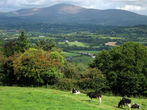 Mount Brandon Cottages Graiguenamanagh