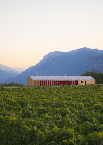8 Grappoli Agritur 4