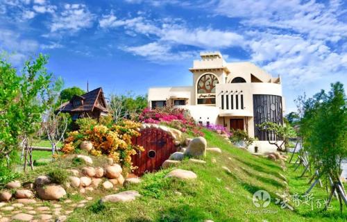 Frogs Time in Waipu District