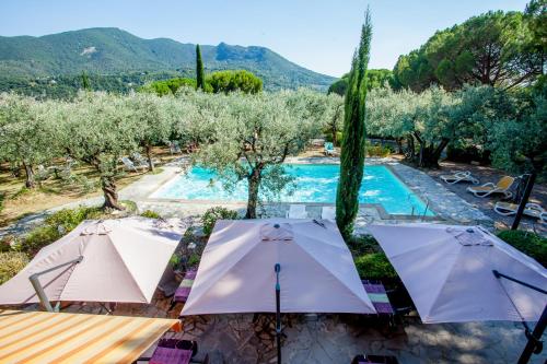 La Picholine en Provence, Nyons (fotografie 6)