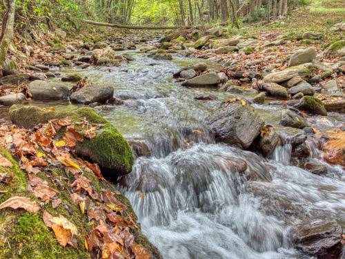 Maggie Valley Cabin Rentals