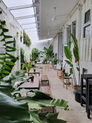 Faciliteiten, The Park Society in Nacht bazaar