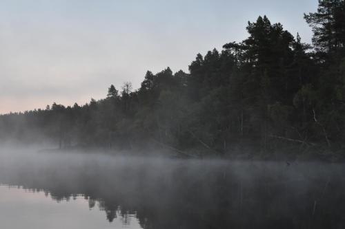 Lemmenjoki Camping EcoCabins