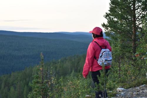 Lemmenjoki Camping EcoCabins