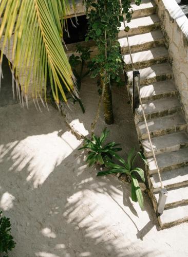 NEST Tulum