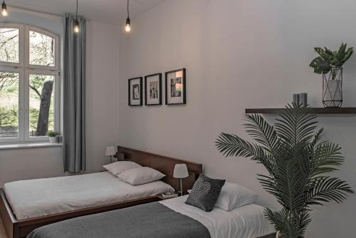 3D Wawel Apartament, Cracovie (photo 5)