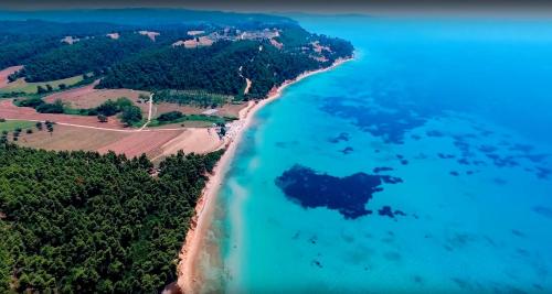  Elani Beachfront Villa in Siviri