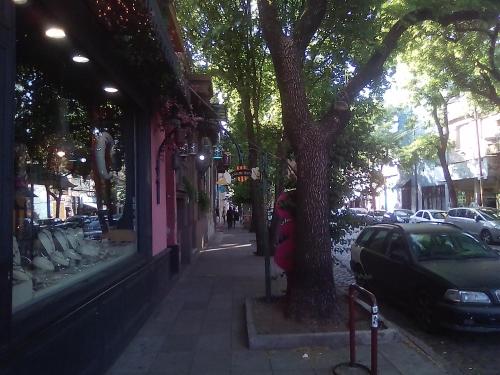 Corazón de Palermo Soho, Buenos Aires (fotografie 7)