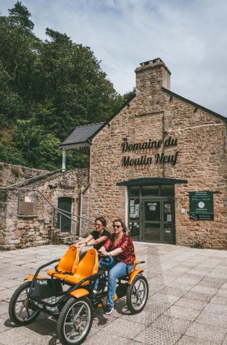 Terres de France - Le Domaine du Moulin Neuf - image 13