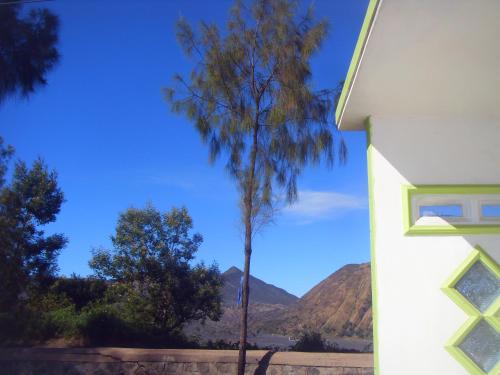 Balcony/terrace, Cahyo Homestay Bromo in Bromo
