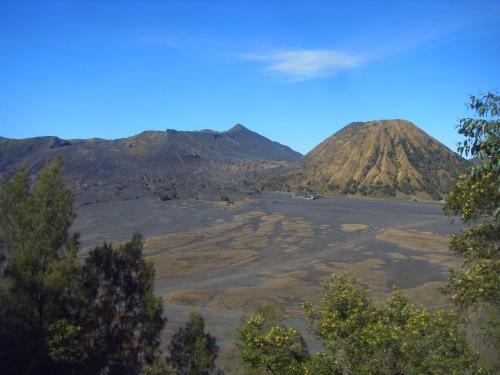 View, Cahyo Homestay Bromo in Bromo