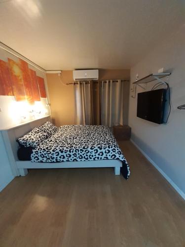 1 king bed, 2 sofa beds