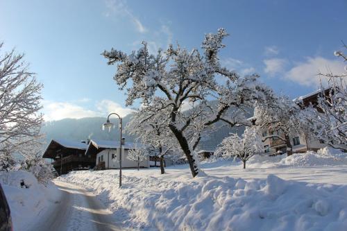 Ferienhaus Weberhof