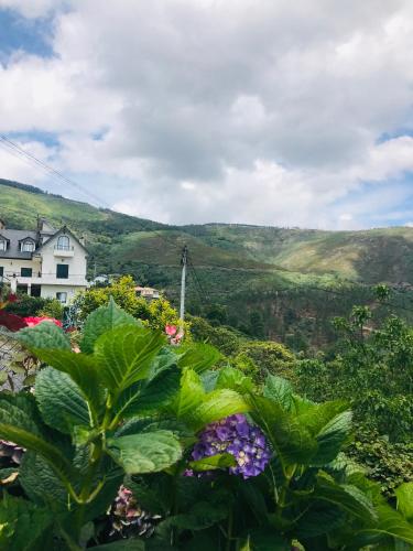 "Casa Do Avô Patrício" Mountain Experience