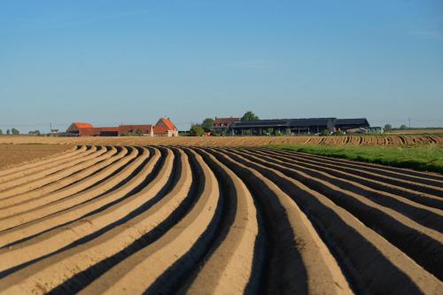 Hoeve Ten Rooden Duifhuize