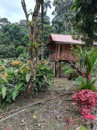 Finca Las Palmas Ecolodge