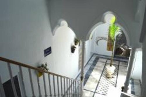 Apartment Veedor 19 Days And Many Nights - image 7