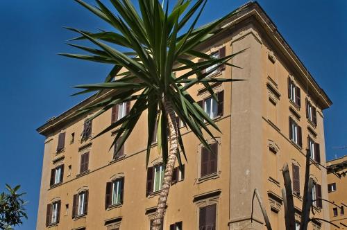 CasaMastro - image 8