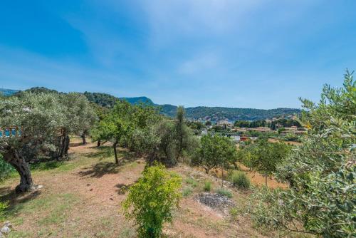 Dos Villas - image 11