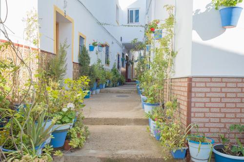 Apartamento Conil - image 8