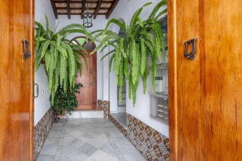 Casa Pepa - image 9