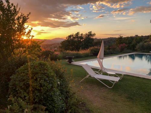 Amazing Assisi - image 7