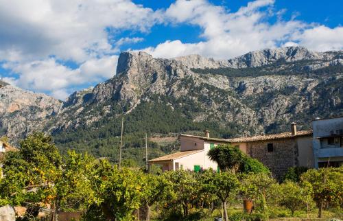 Finca S'hortet - image 6