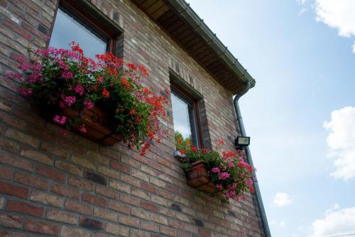 Gîte A La Violette - image 14