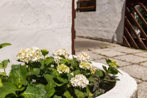 Casa Marisol - image 5