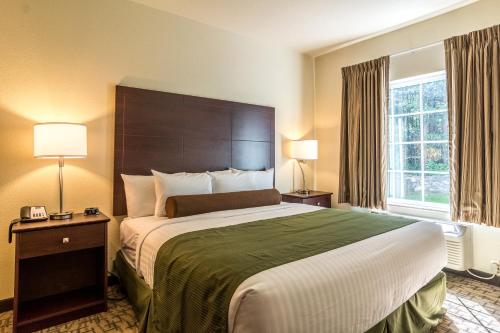 Cobblestone Hotel & Suites - Greenville