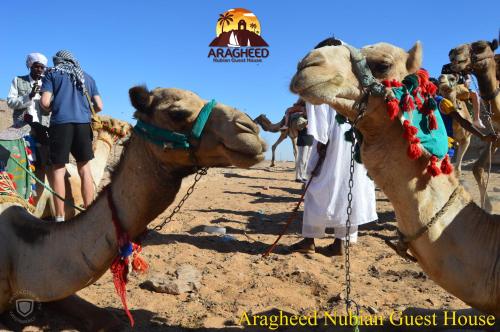 Nubian Kingdom Aragheed House