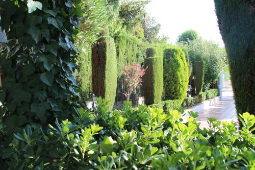 El jardín de la abuela