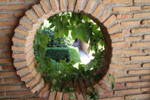 El jardín de la abuela