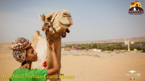 Nubian Kingdom Aragheed House