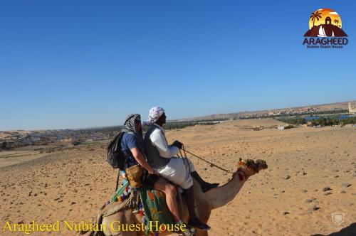Nubian Kingdom Aragheed House