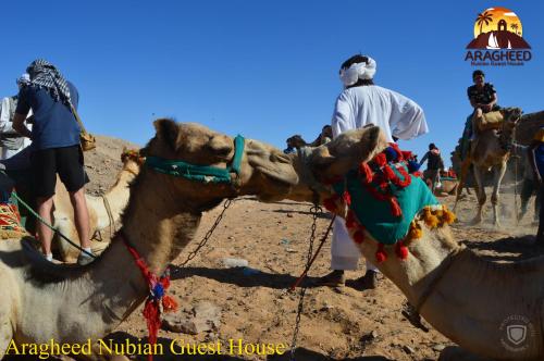 Nubian Kingdom Aragheed House