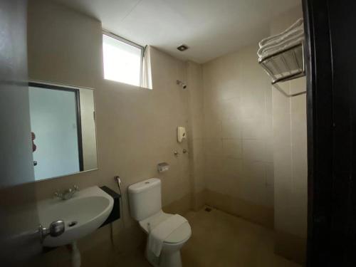 天鹅花园酒店 天鹅花园酒店