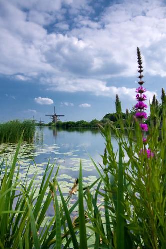 Zonnig Zuid - image 2