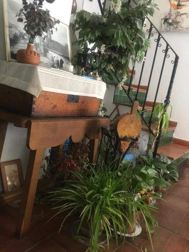 El Zaguan, Granada (photo 9)