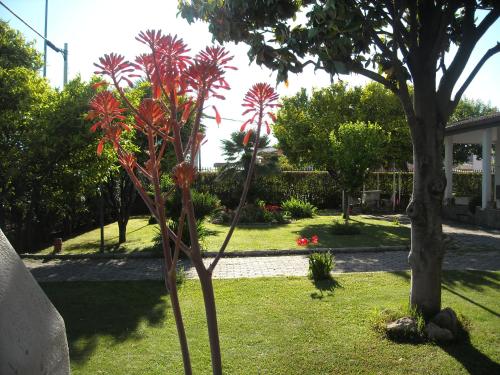 Giardino Degli Aranci B&B - image 5